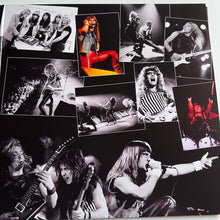 Load image into Gallery viewer, Iron Maiden - Beast over Reading - rare limited MARBLED vinyl 2LP