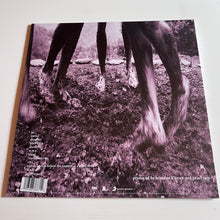 Load image into Gallery viewer, Pearl Jam - Vs - Limited Edition CLEAR vinyl
