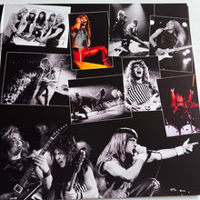 Load image into Gallery viewer, Iron Maiden - Beast over Reading - rare limited MARBLED vinyl 2LP
