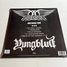 Load image into Gallery viewer, Aerosmith - One More Time - CLEAR vinyl LP
