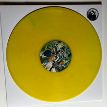 Load image into Gallery viewer, Doors - Rarities - limited COLOR vinyl LP
