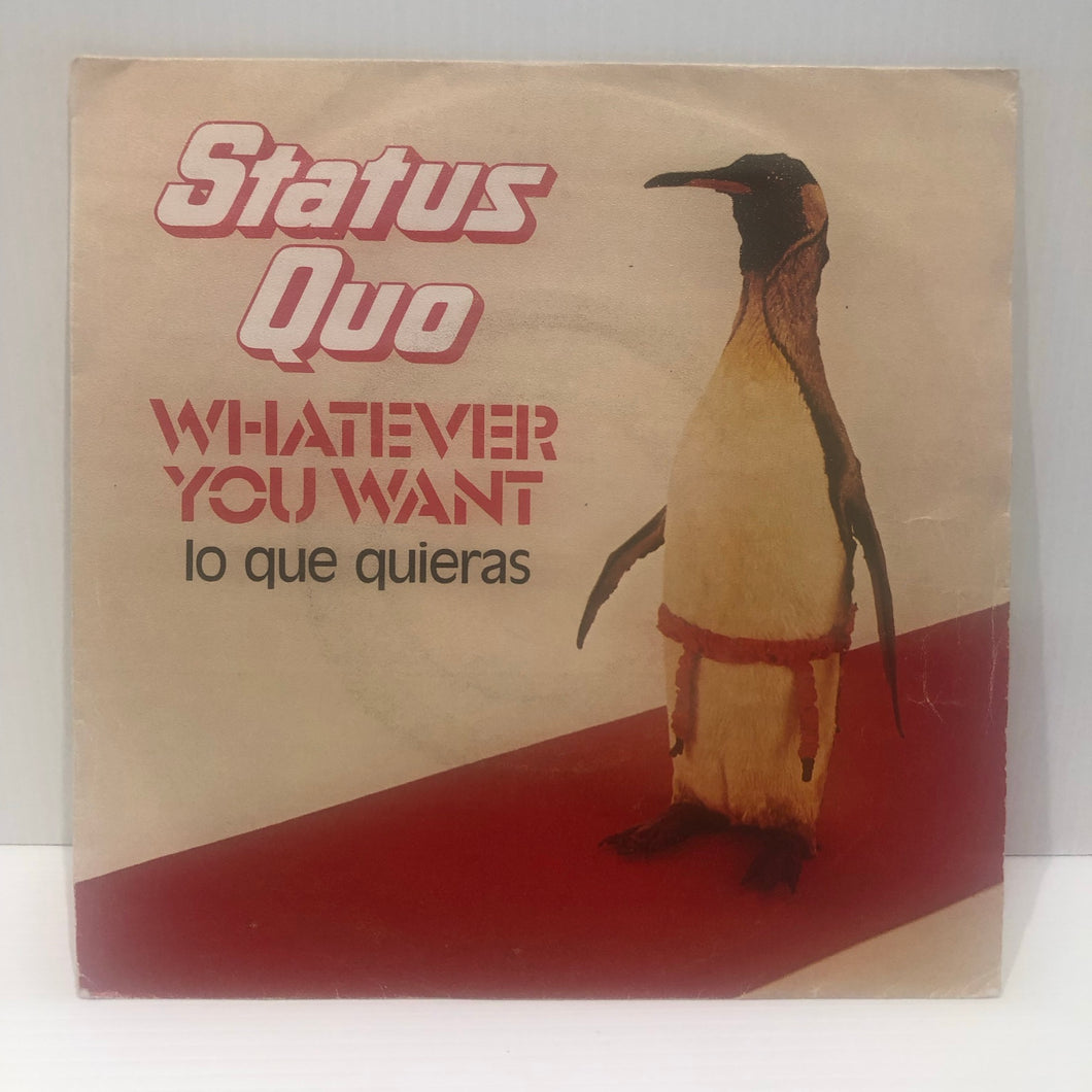 Status Quo - Whatever you want - Spain 7
